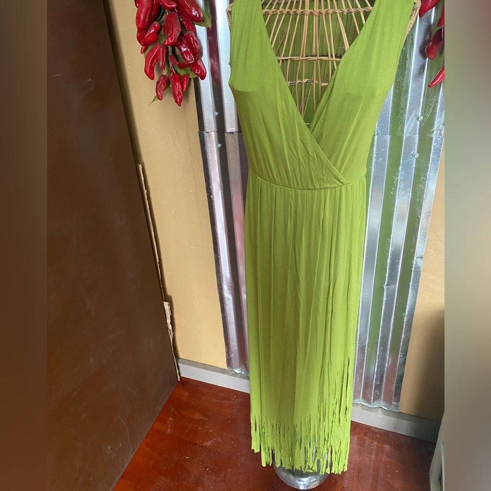 Kate and Mallory Fringe Dress